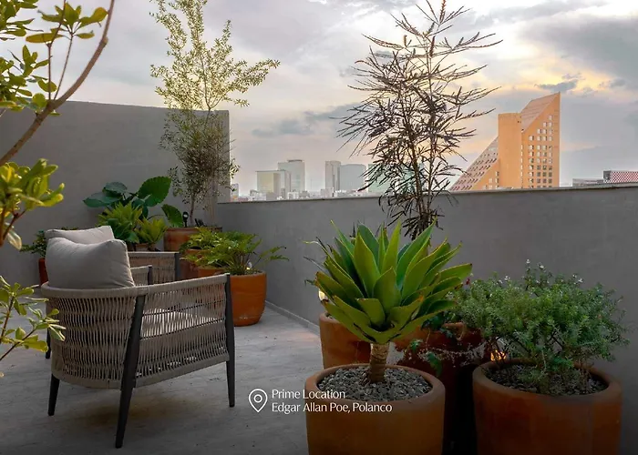 Capitalia Antara Polanco 204 Apartment